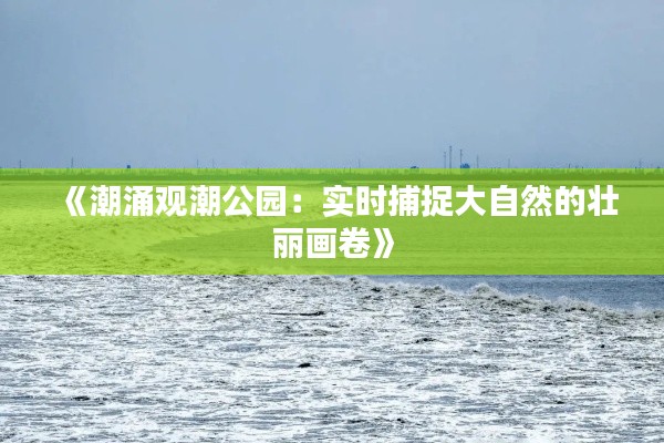 《潮涌观潮公园:实时捕捉大自然的壮丽画卷》