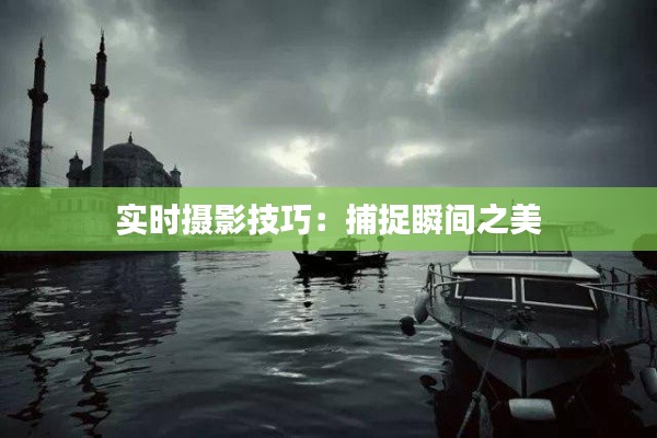 实时摄影技巧:捕捉瞬间之美