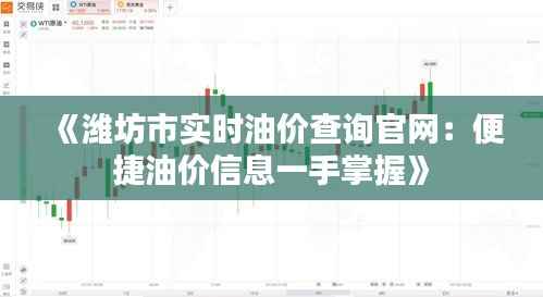 《潍坊市实时油价查询官网:便捷油价信息一手掌握》