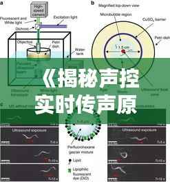 《揭秘声控实时传声原理:科技与声音的完美融合》