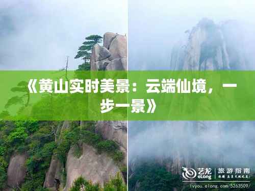 《黄山实时美景:云端仙境,一步一景》