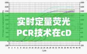实时定量荧光PCR技术在cDNA定量分析中的应用与优化
