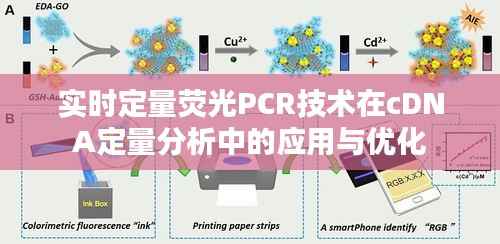 实时定量荧光PCR技术在cDNA定量分析中的应用与优化