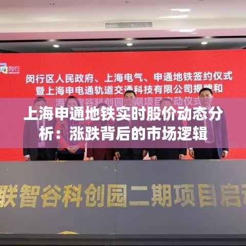 开张圣听 第5页