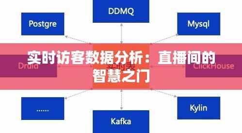实时访客数据分析:直播间的智慧之门