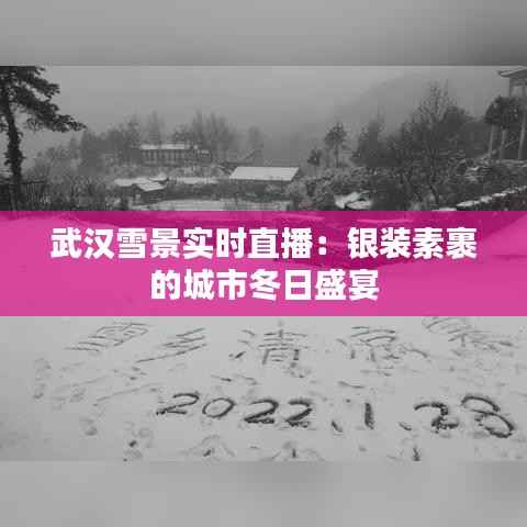 武汉雪景实时直播:银装素裹的城市冬日盛宴