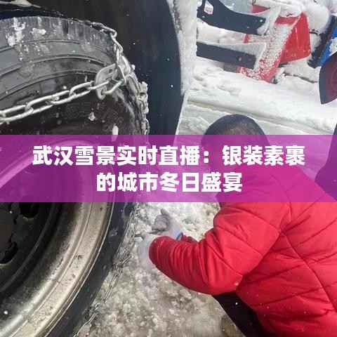 武汉雪景实时直播:银装素裹的城市冬日盛宴