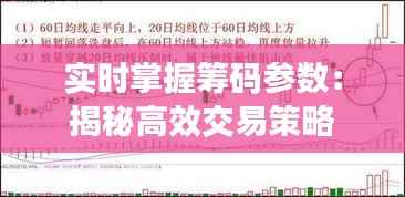 实时掌握筹码参数:揭秘高效交易策略