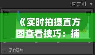 《实时拍摄直方图查看技巧:捕捉光影之美》