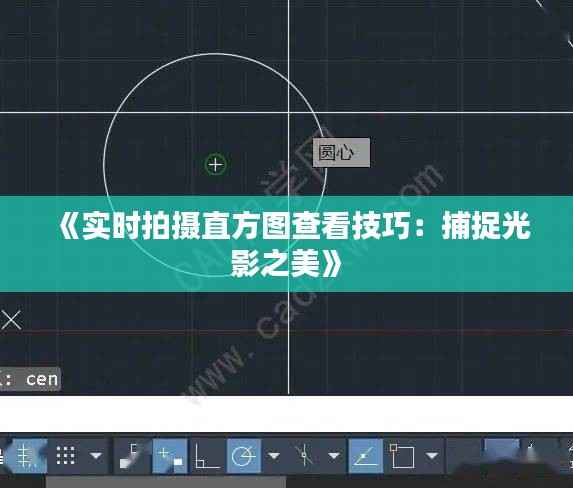 《实时拍摄直方图查看技巧:捕捉光影之美》