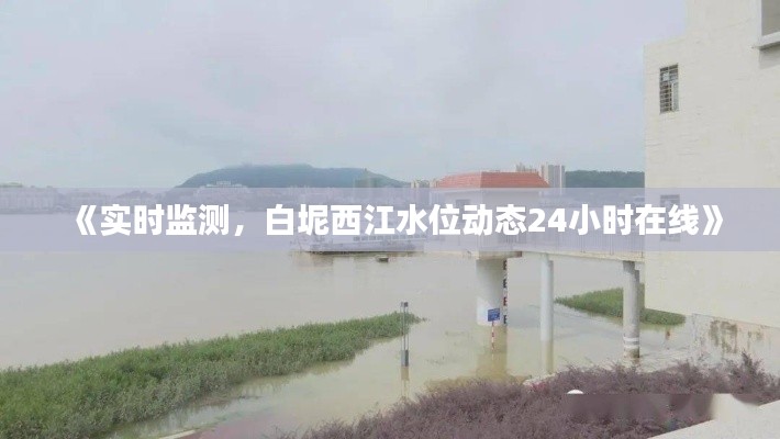 《实时监测,白坭西江水位动态24小时在线》