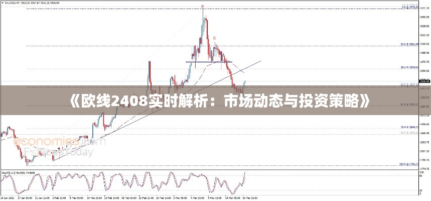 《欧线2408实时解析:市场动态与投资策略》