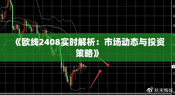 《欧线2408实时解析:市场动态与投资策略》
