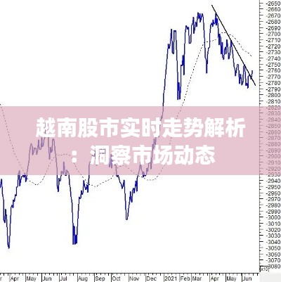 越南股市实时走势解析:洞察市场动态
