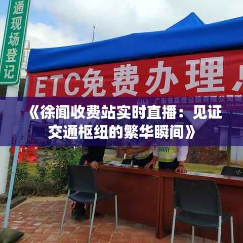 《徐闻收费站实时直播:见证交通枢纽的繁华瞬间》