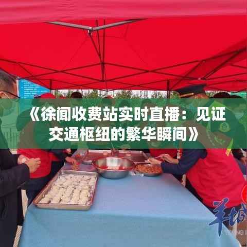 《徐闻收费站实时直播:见证交通枢纽的繁华瞬间》