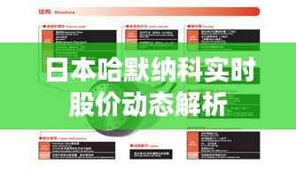 日本哈默纳科实时股价动态解析