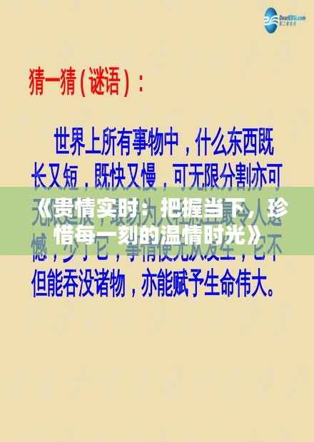 《贵情实时:把握当下,珍惜每一刻的温情时光》