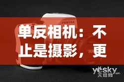 单反相机:不止是摄影,更是实时摄像利器