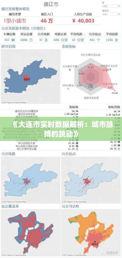 《大连市实时数据解析:城市脉搏的跳动》