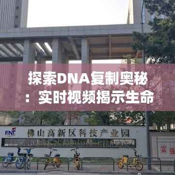 探索DNA复制奥秘:实时视频揭示生命密码