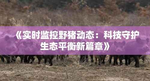 《实时监控野猪动态:科技守护生态平衡新篇章》