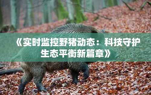《实时监控野猪动态:科技守护生态平衡新篇章》