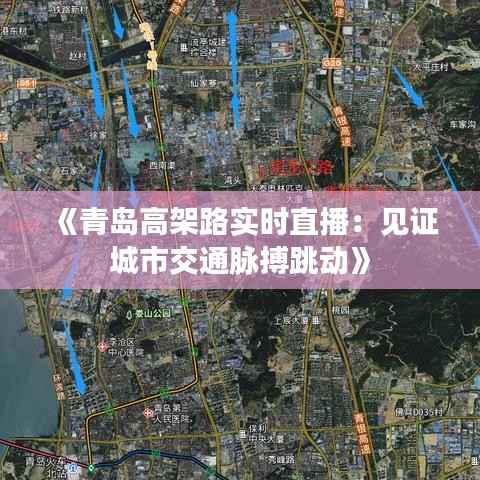 《青岛高架路实时直播:见证城市交通脉搏跳动》