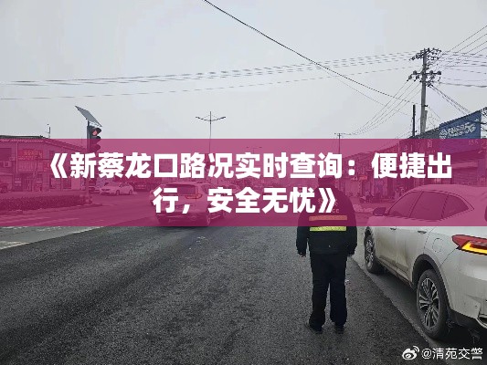《新蔡龙口路况实时查询:便捷出行,安全无忧》