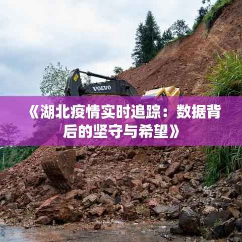 《湖北疫情实时追踪:数据背后的坚守与希望》