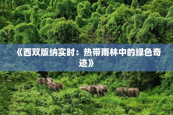 《西双版纳实时:热带雨林中的绿色奇迹》