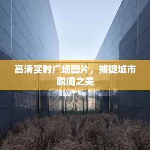 高清实时广场图片,捕捉城市瞬间之美