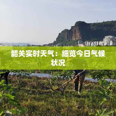 韶关实时天气:细览今日气候状况