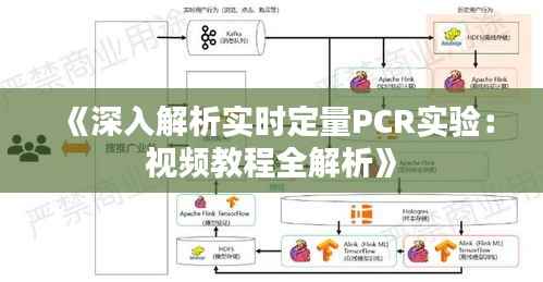 《深入解析实时定量PCR实验：视频教程全解析》