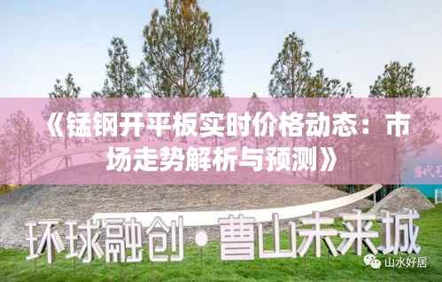 《锰钢开平板实时价格动态:市场走势解析与预测》