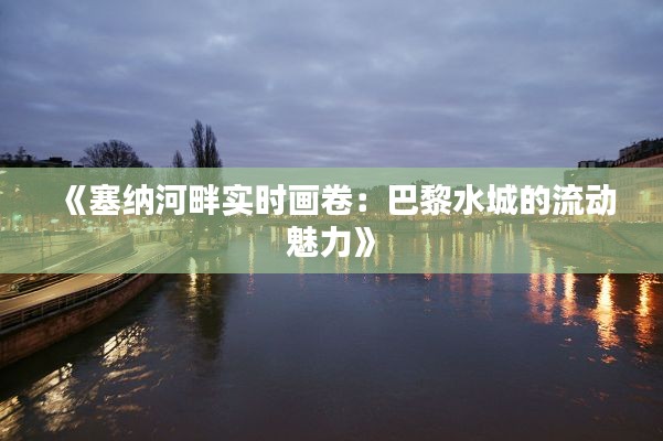 《塞纳河畔实时画卷:巴黎水城的流动魅力》