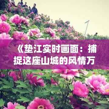 《垫江实时画面:捕捉这座山城的风情万种》