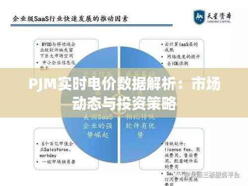 PJM实时电价数据解析：市场动态与投资策略