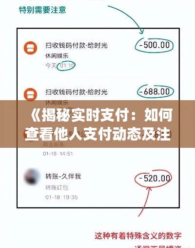《揭秘实时支付:如何查看他人支付动态及注意事项》