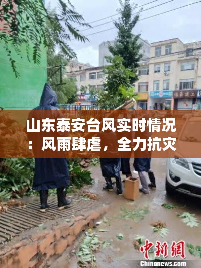 大雪纷飞 第7页