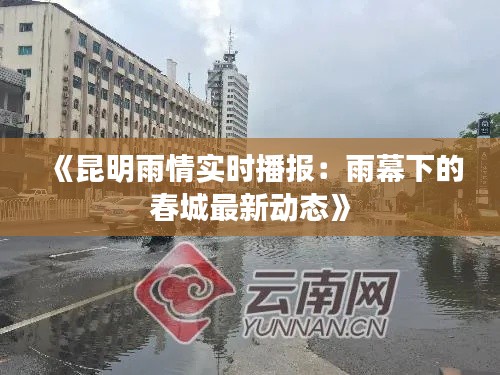 《昆明雨情实时播报:雨幕下的春城最新动态》