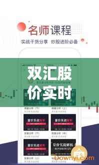 双汇股价实时走势解析:市场动态与投资策略