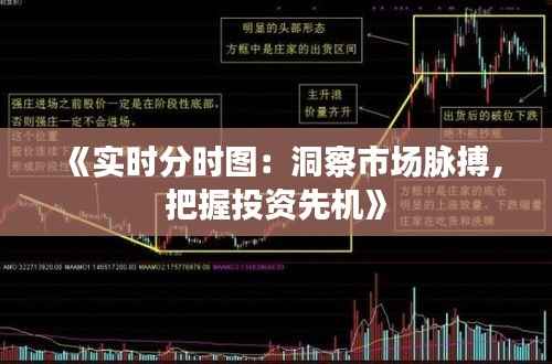 《实时分时图：洞察市场脉搏，把握投资先机》