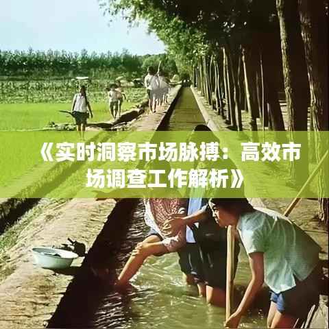 《实时洞察市场脉搏:高效市场调查工作解析》