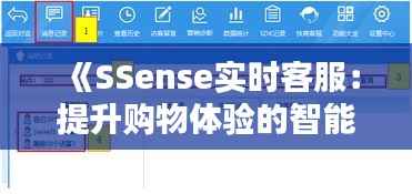 《SSense实时客服:提升购物体验的智能助手》