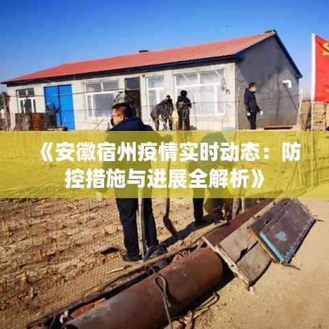 《安徽宿州疫情实时动态:防控措施与进展全解析》
