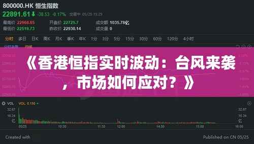 《香港恒指实时波动:台风来袭,市场如何应对?》