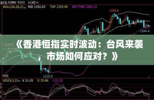 《香港恒指实时波动:台风来袭,市场如何应对?》
