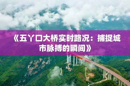 《五丫口大桥实时路况:捕捉城市脉搏的瞬间》
