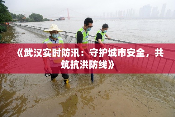 《武汉实时防汛:守护城市安全,共筑抗洪防线》